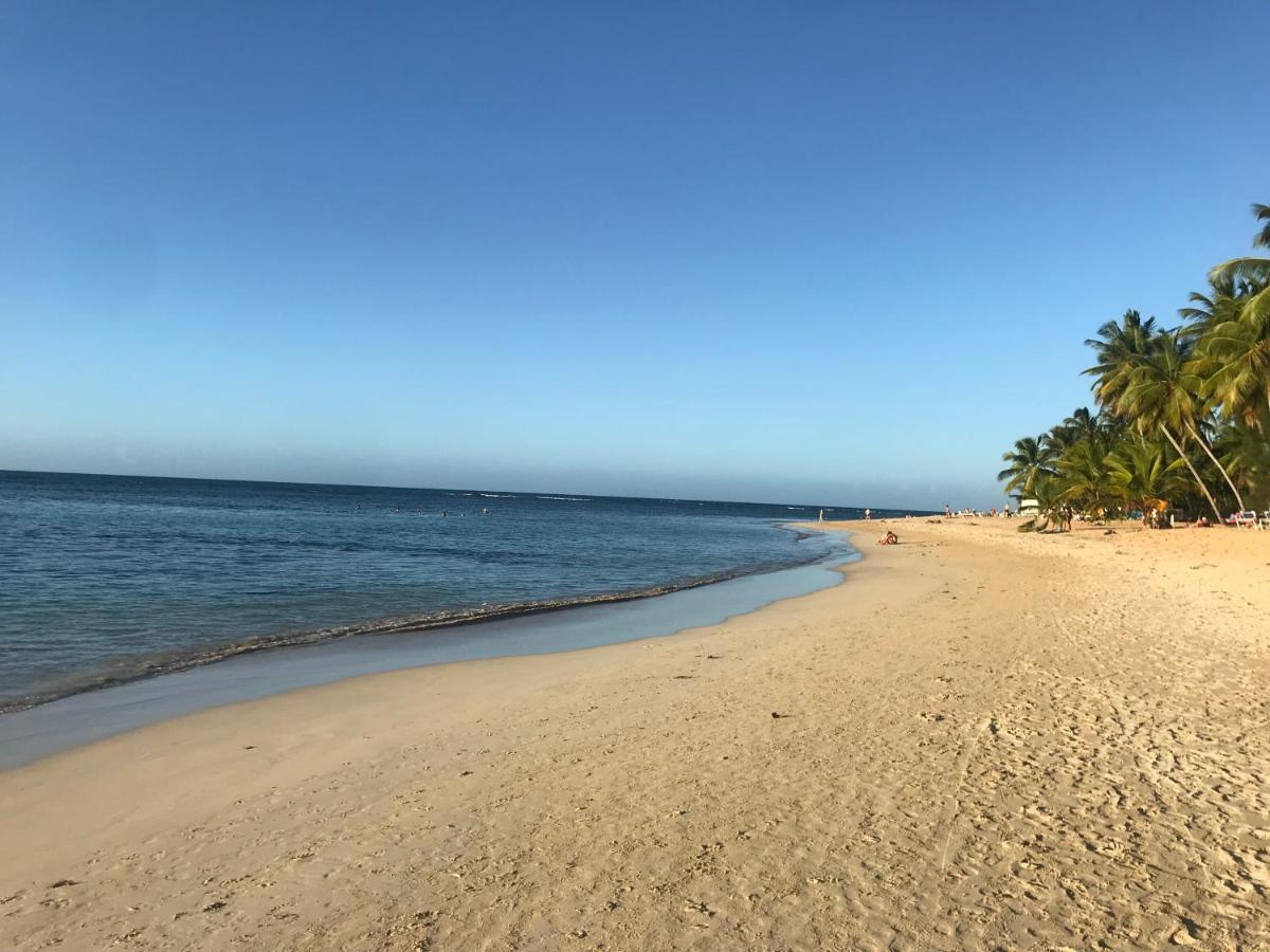 Cozy Oceanfront Villa With Direct Beach Access Las Terrenas Eksteriør billede
