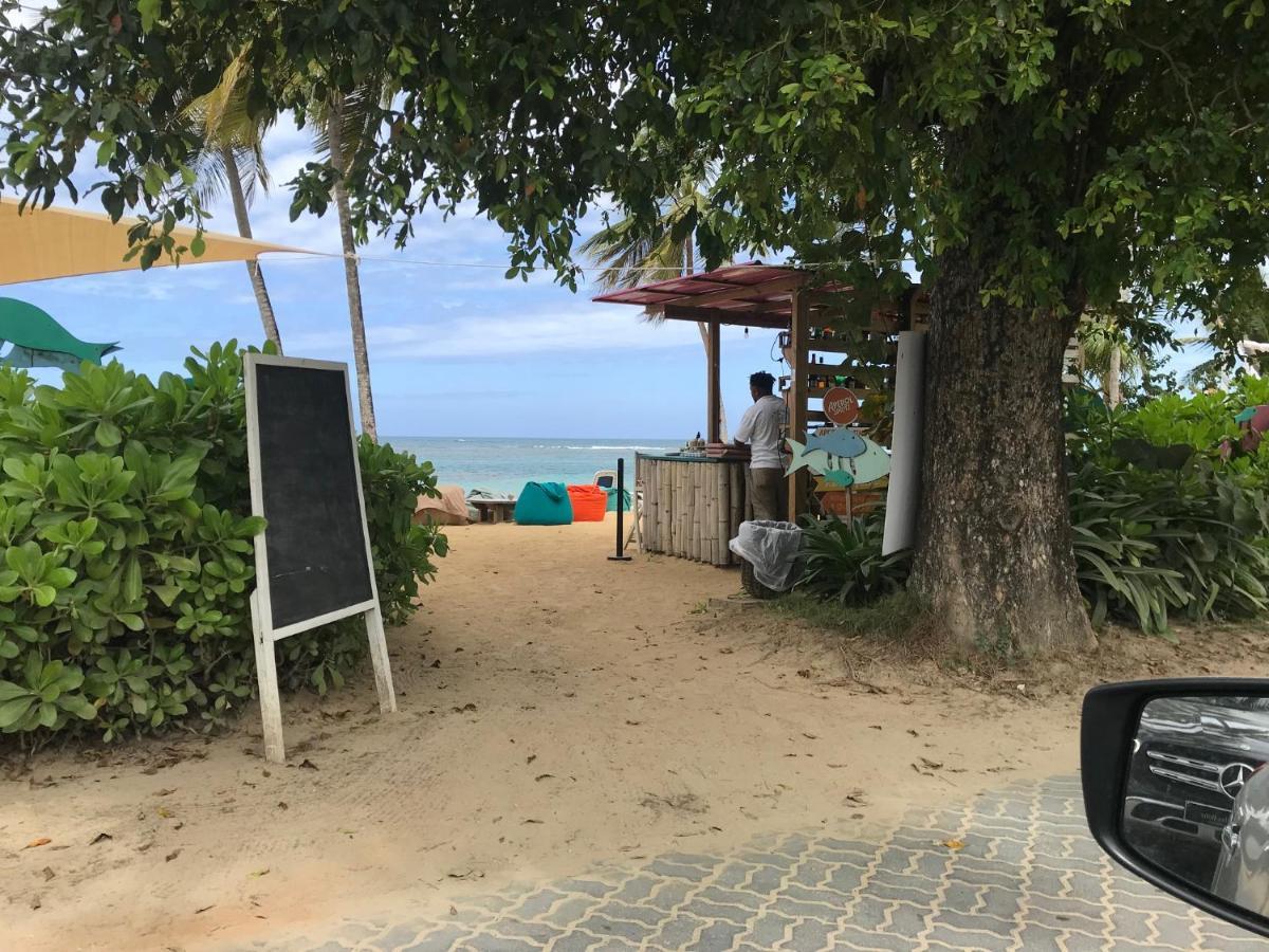 Cozy Oceanfront Villa With Direct Beach Access Las Terrenas Eksteriør billede