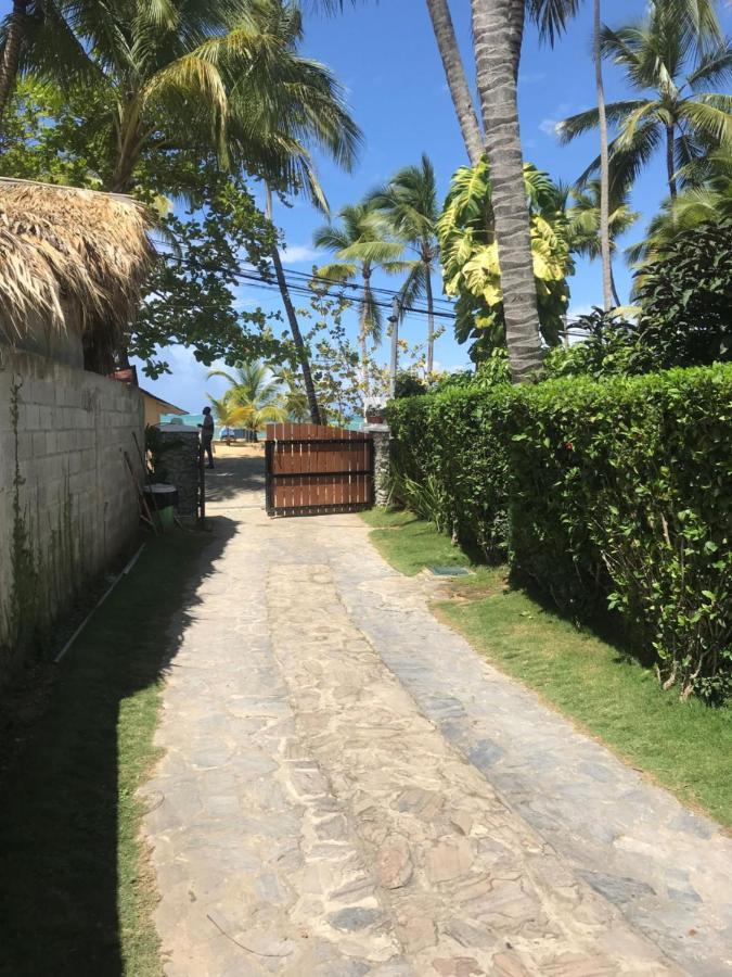 Cozy Oceanfront Villa With Direct Beach Access Las Terrenas Eksteriør billede