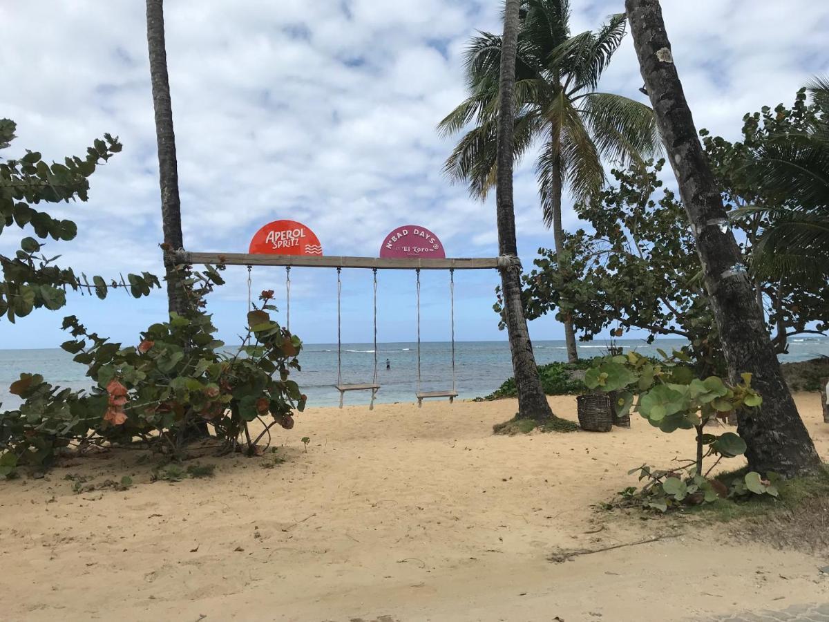 Cozy Oceanfront Villa With Direct Beach Access Las Terrenas Eksteriør billede